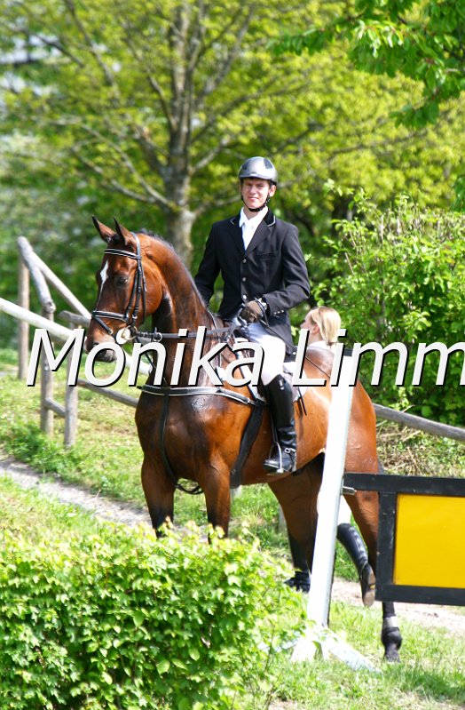 005M4469_Lakritz_Stil A.JPG